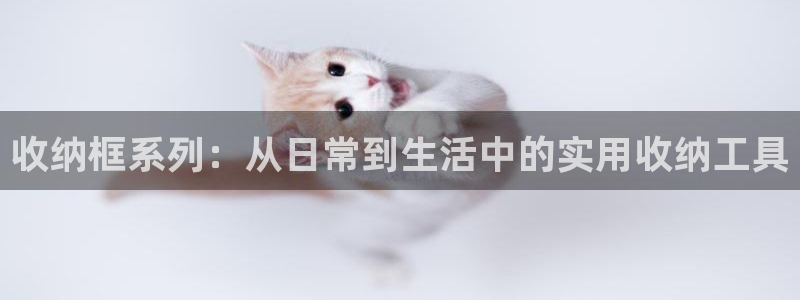 征途国际集团E.ON：收纳框系列：从日常到生活中的实