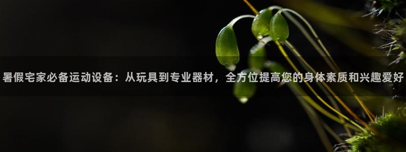 征途国际集团logo：暑假宅家必备运动设备：从玩具到