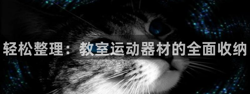 征途国际招商电话地址查询：轻松整理：教室运动器材的全面收纳