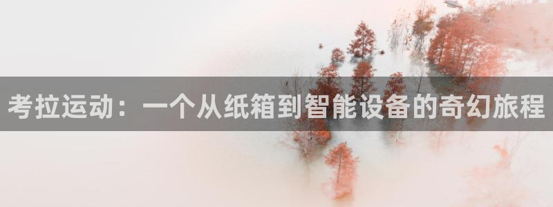 征途国际集团logo：考拉运动：一个从纸箱到智能设备的奇幻旅