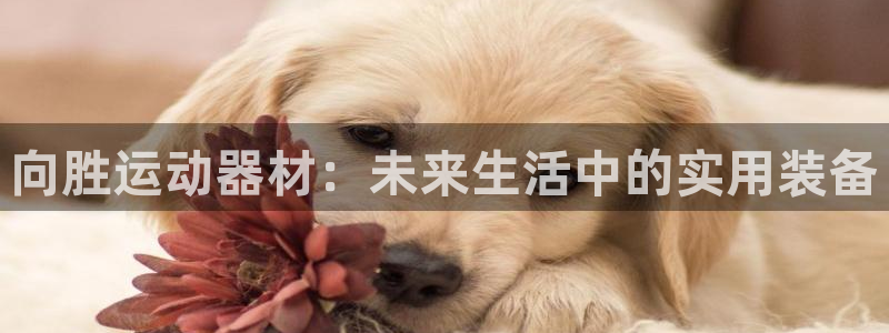 征途国际新能源：向胜运动器材：未来生活中的实用装备