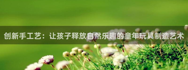 征途国际科技：创新手工艺：让孩子释放自然乐趣的童年玩具制造艺