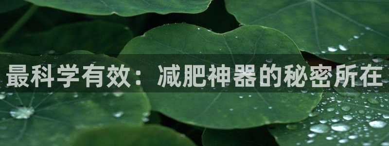征途国际官方客服电话：最科学有效：减肥神器的秘密所在