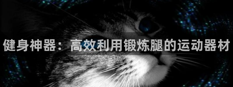 征途国际代理：健身神器：高效利用锻炼腿的运动器材