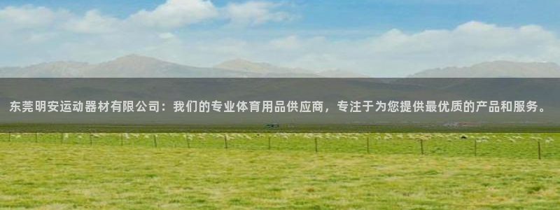 征途国际招商电话号码：东莞明安运动器材有限公司：我们的专业体