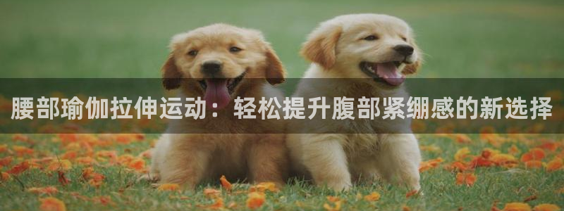 征途国际平台注册要钱吗：腰部瑜伽拉伸运动：轻松提升腹