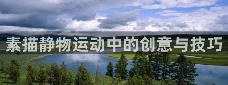 征途国际招商电话号码